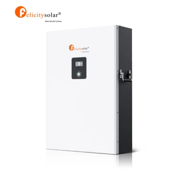 Felicity Lithium Battery 200ah 48V H 10KWH LPBF - Image 2