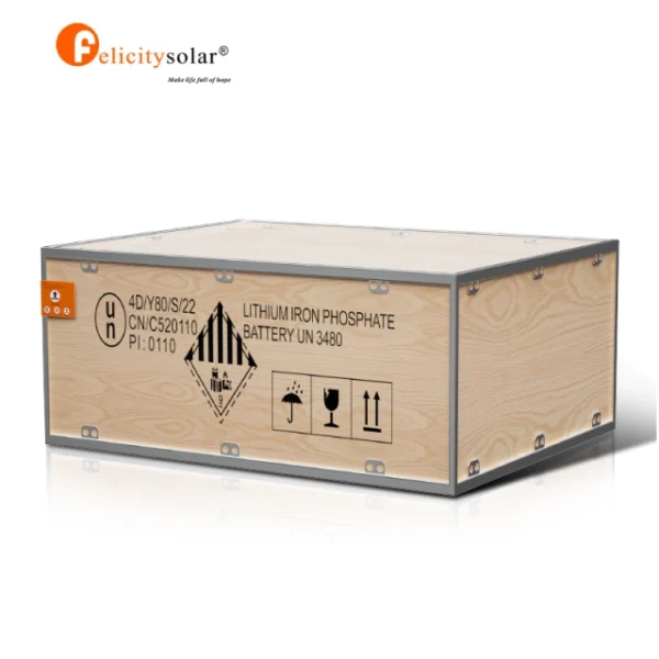 Felicity Lithium Battery 200ah 48V H 10KWH LPBF - Image 6