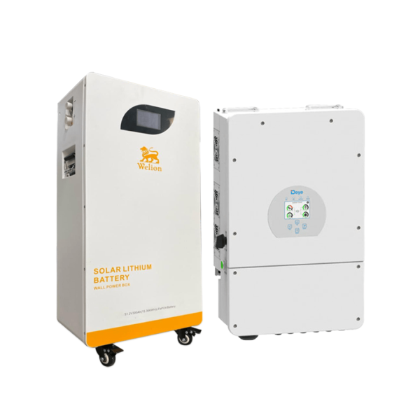 Welion Lithium Battery 10kW + Deye Inverter 8kW