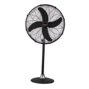 Fans