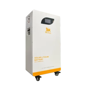 Welion Lithium Battery 300A 48V