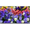 Uniview 43″ 4K LED Monitor with Speaker