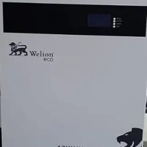 WELION LITHIUM BATTERY 315A 25.6V 8.2KW - ECO LEBANON
